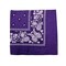 Unibasic Paisley 100% Cotton Bandana XL, head wrap, handkerchief - 10 Pack
